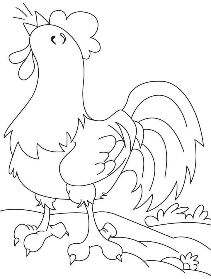 Wonderful cock coloring page download free wonderful cock coloring page for kids best coloring pages