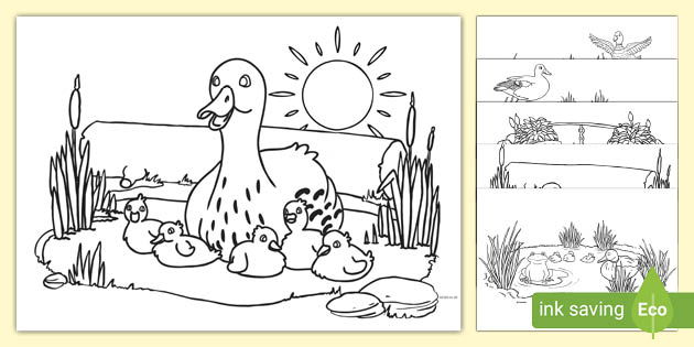 Five little ducks louring pages teacher made
