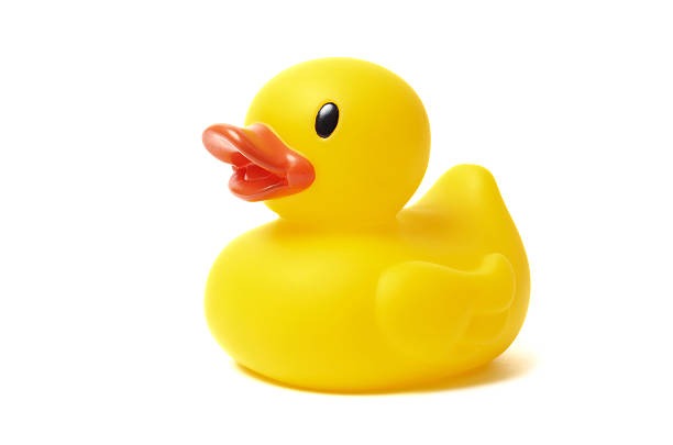 Rubber duck stock photos pictures royalty