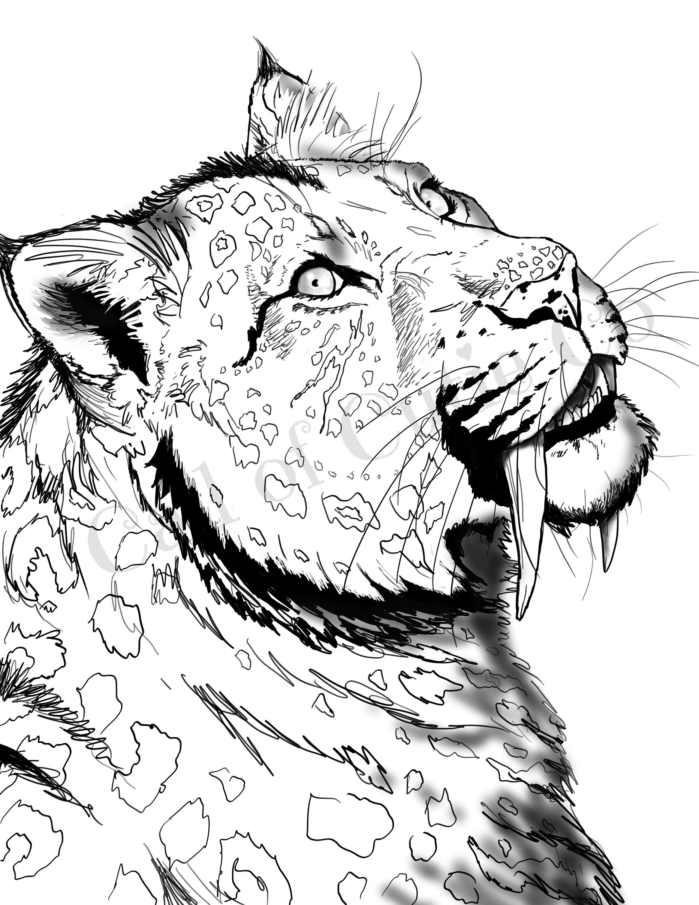 Saber tooth tiger coloring page animal color pages