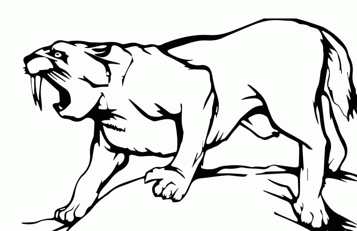 Enchanting saber tooth coloring pages