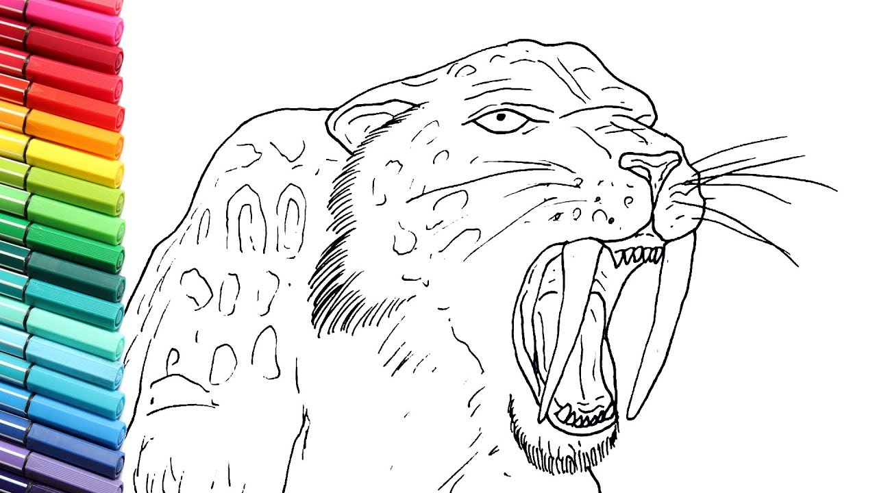 Drawing and coloring saber toothed tiger