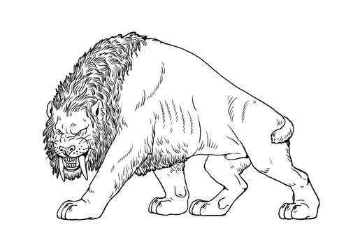 Saber tooth images â browse photos vectors and video