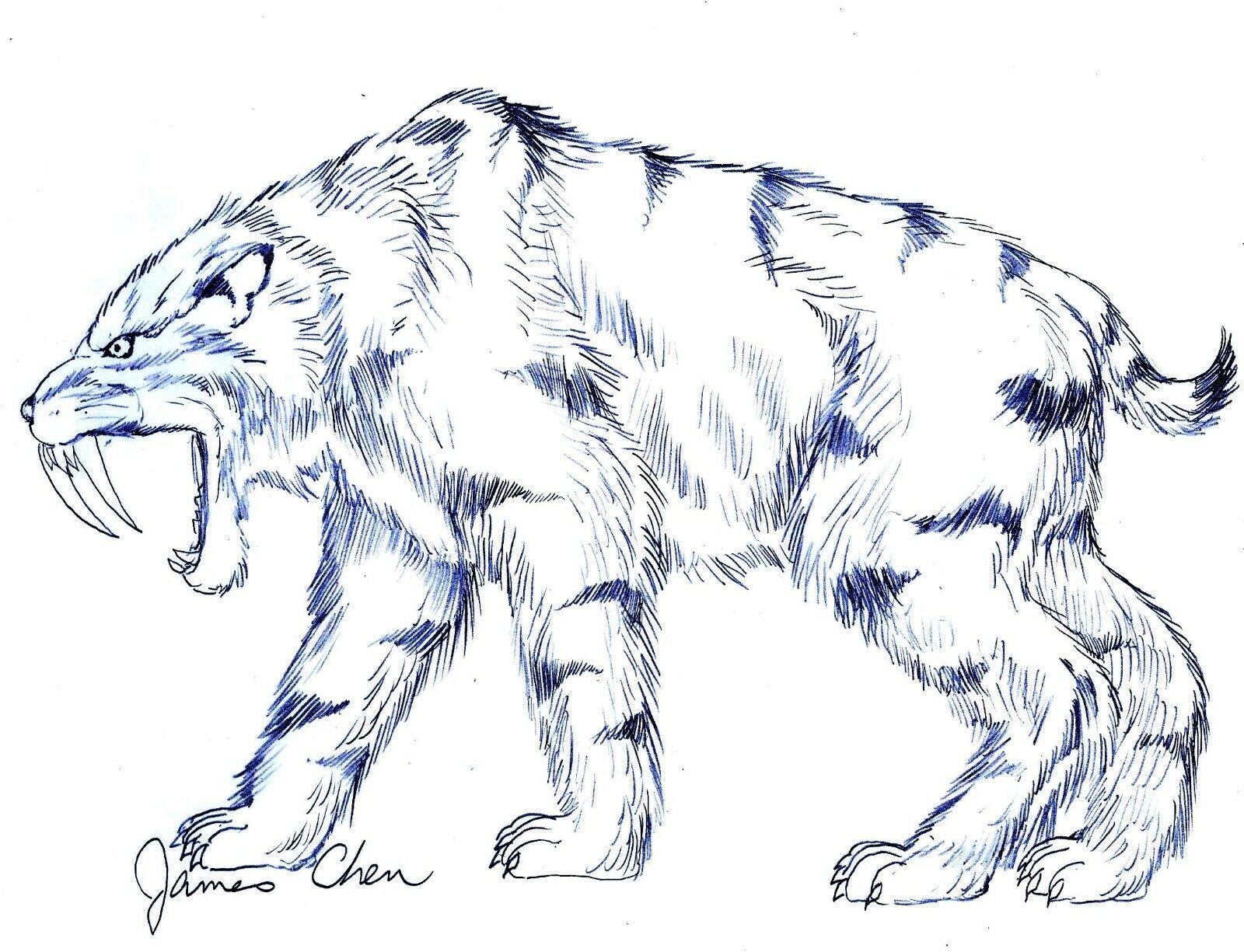 Smilodon the saber tooth tiger original comic art by comicbook artist james chen