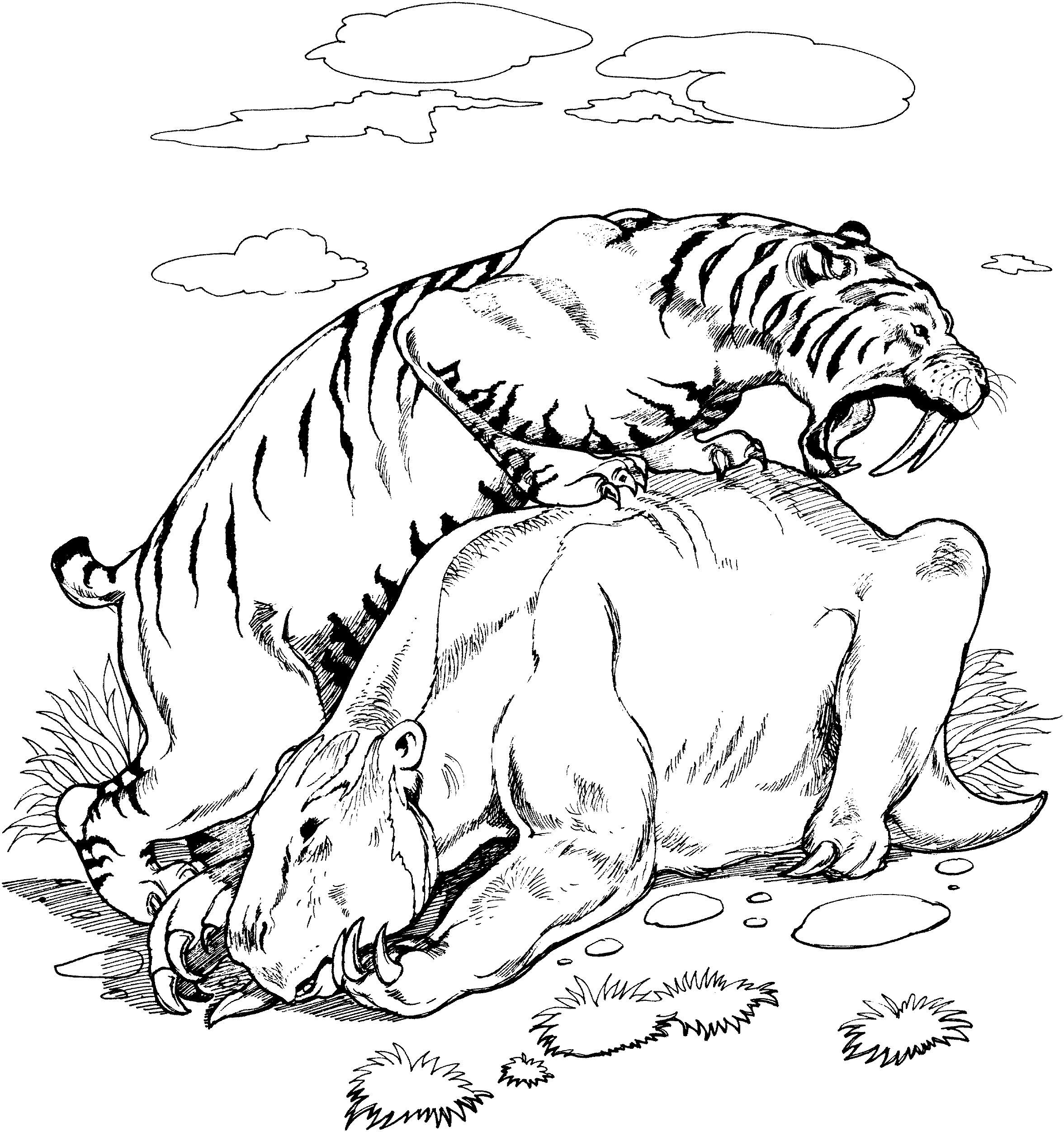 Free tiger coloring pages