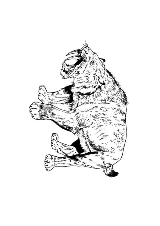 Coloring page saber tooth tiger