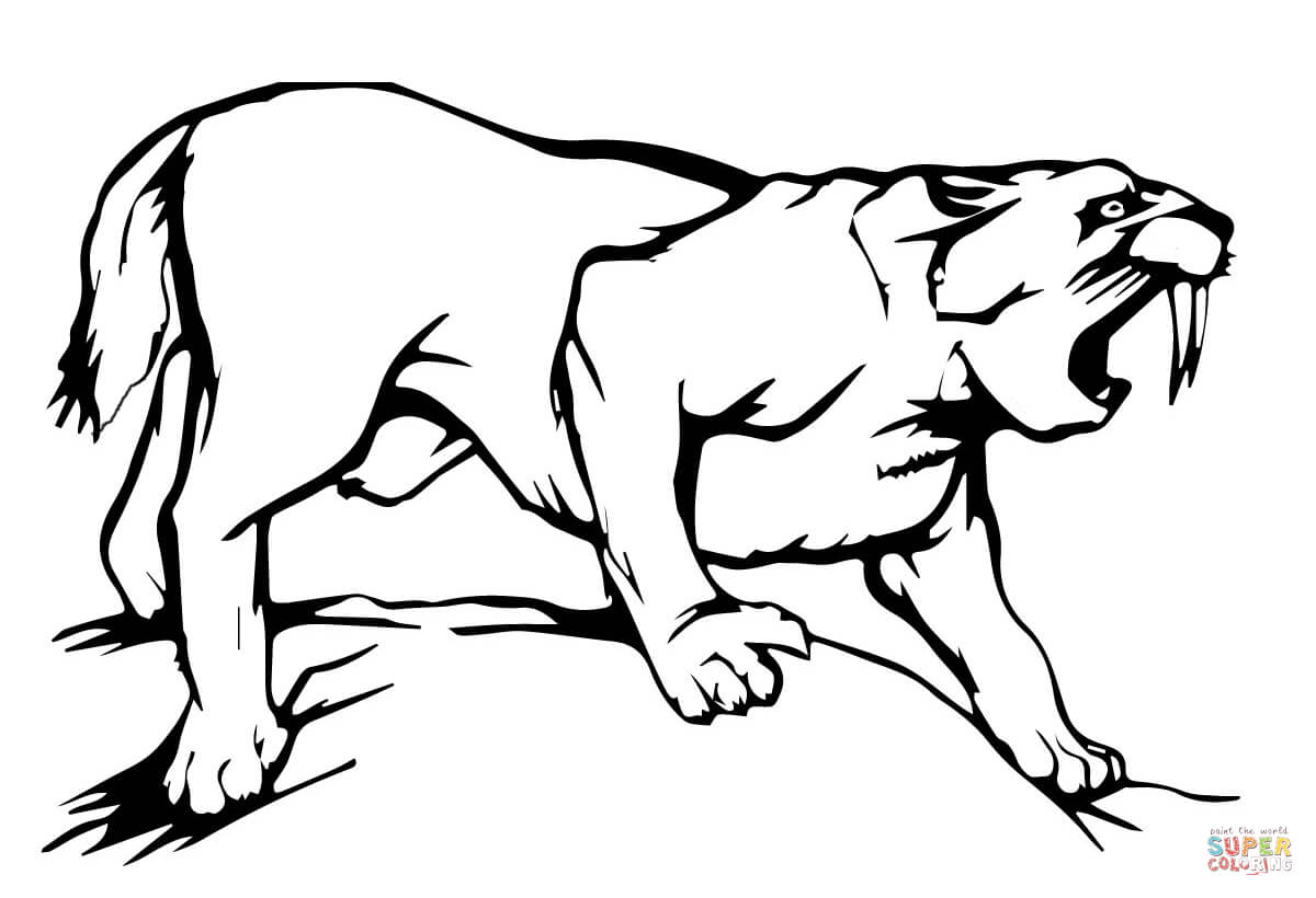 Sabre tooth tiger coloring page free printable coloring pages