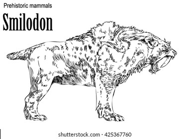 Smilodon prehistoric mammals sabertoothed tiger vintage stockvektorkãp jogdãjmentes