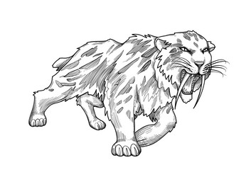 Smilodon vector images over