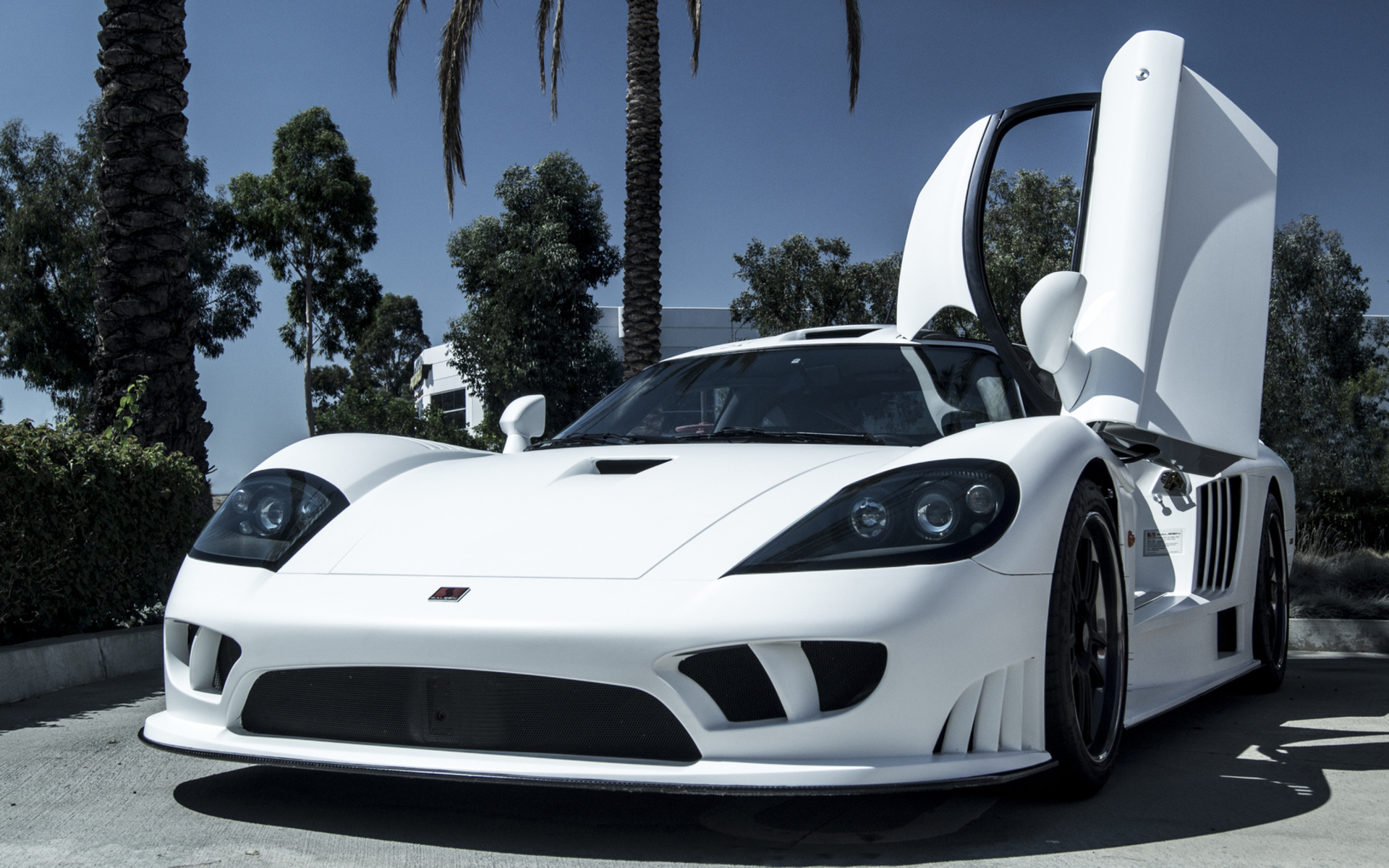 Saleen hd papers and backgrounds