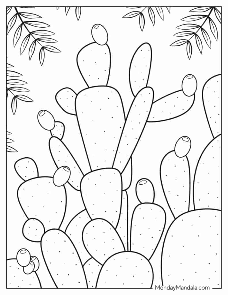 Cactus coloring pages free pdf printables