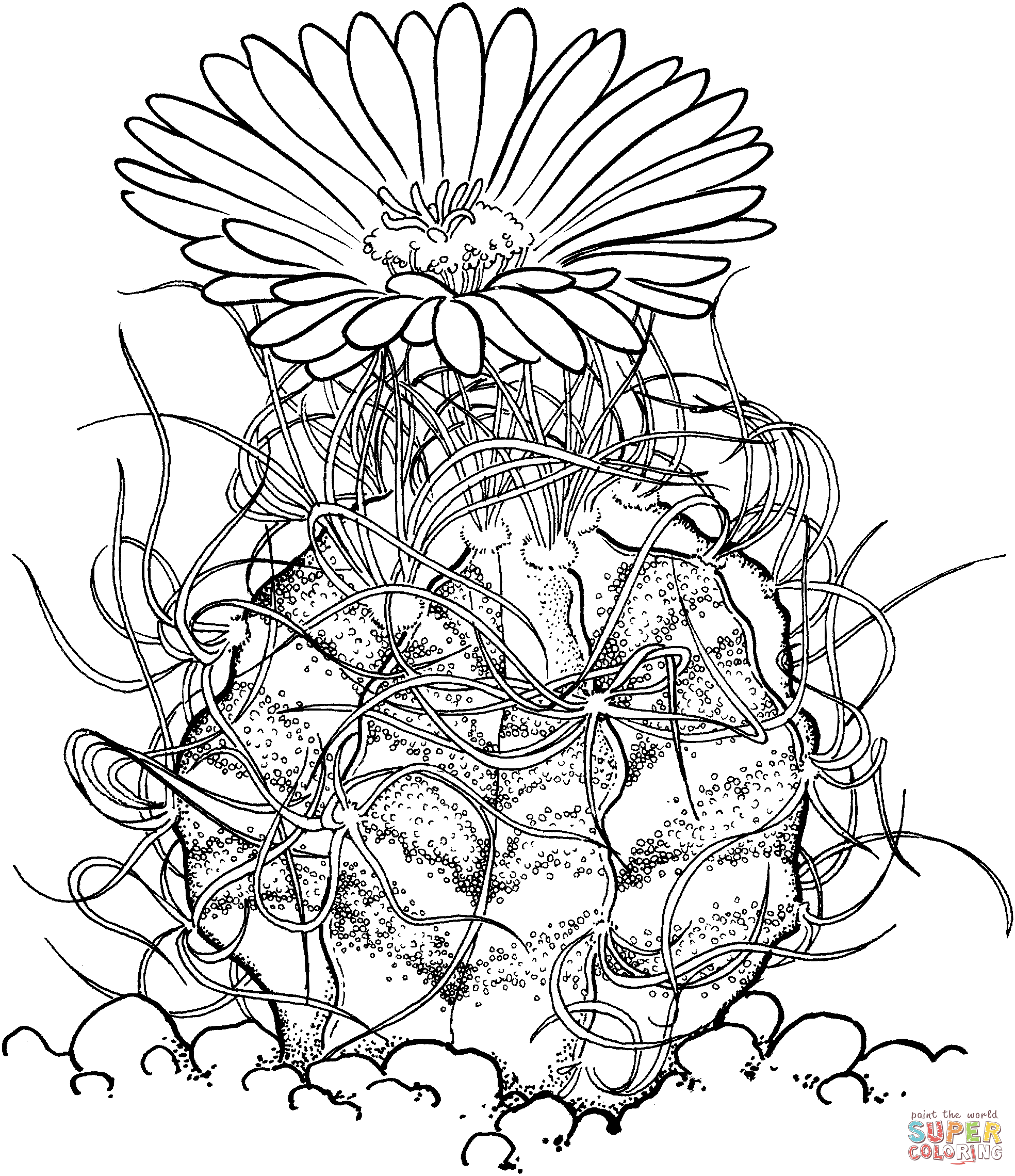 Astrophytum capricorne or goats horn cactus coloring page free printable coloring pages