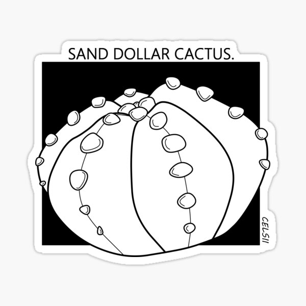 Sand dollar art gifts merchandise for sale