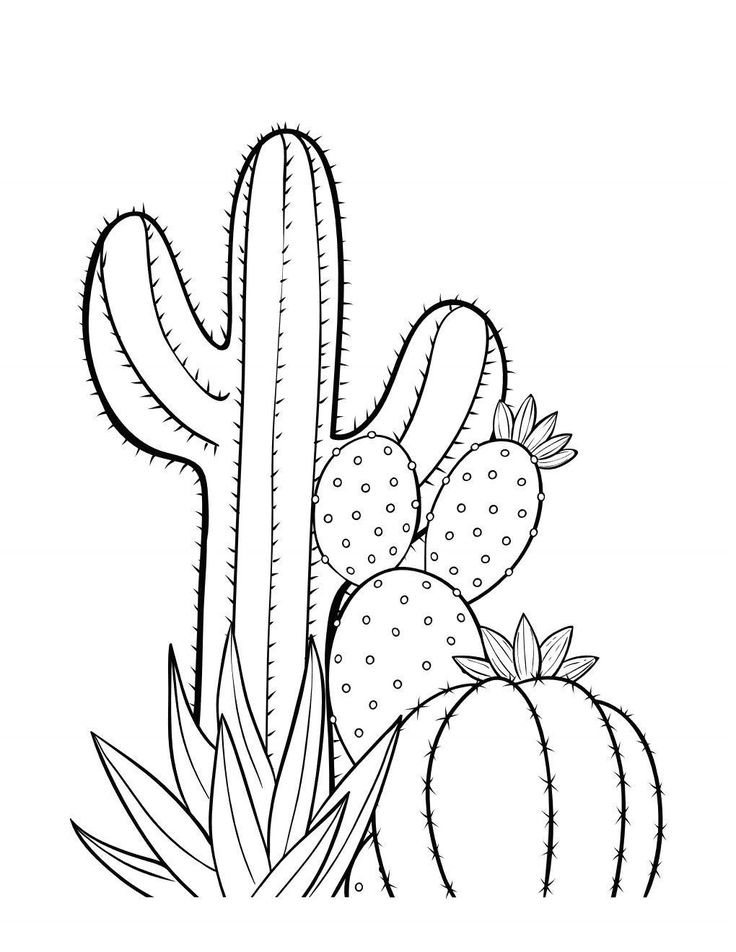 Printable cactus coloring pages instant download