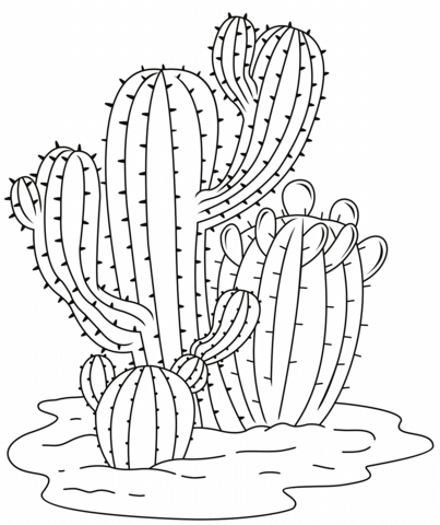 Cactus coloring pages printable for free download