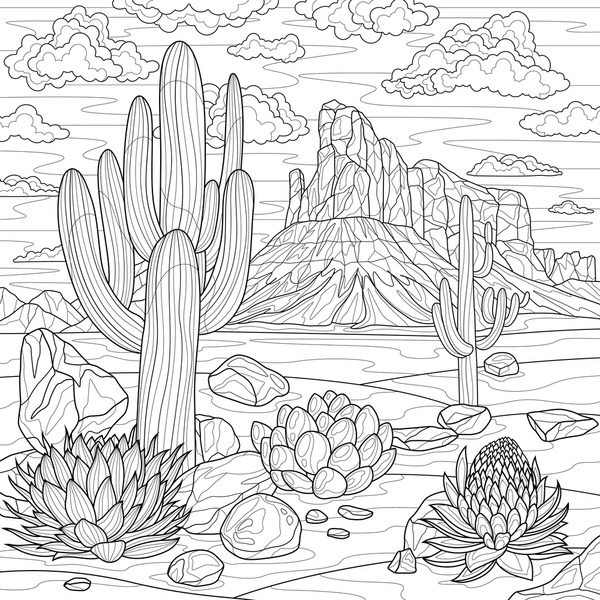 Thousand cactus coloring book royalty
