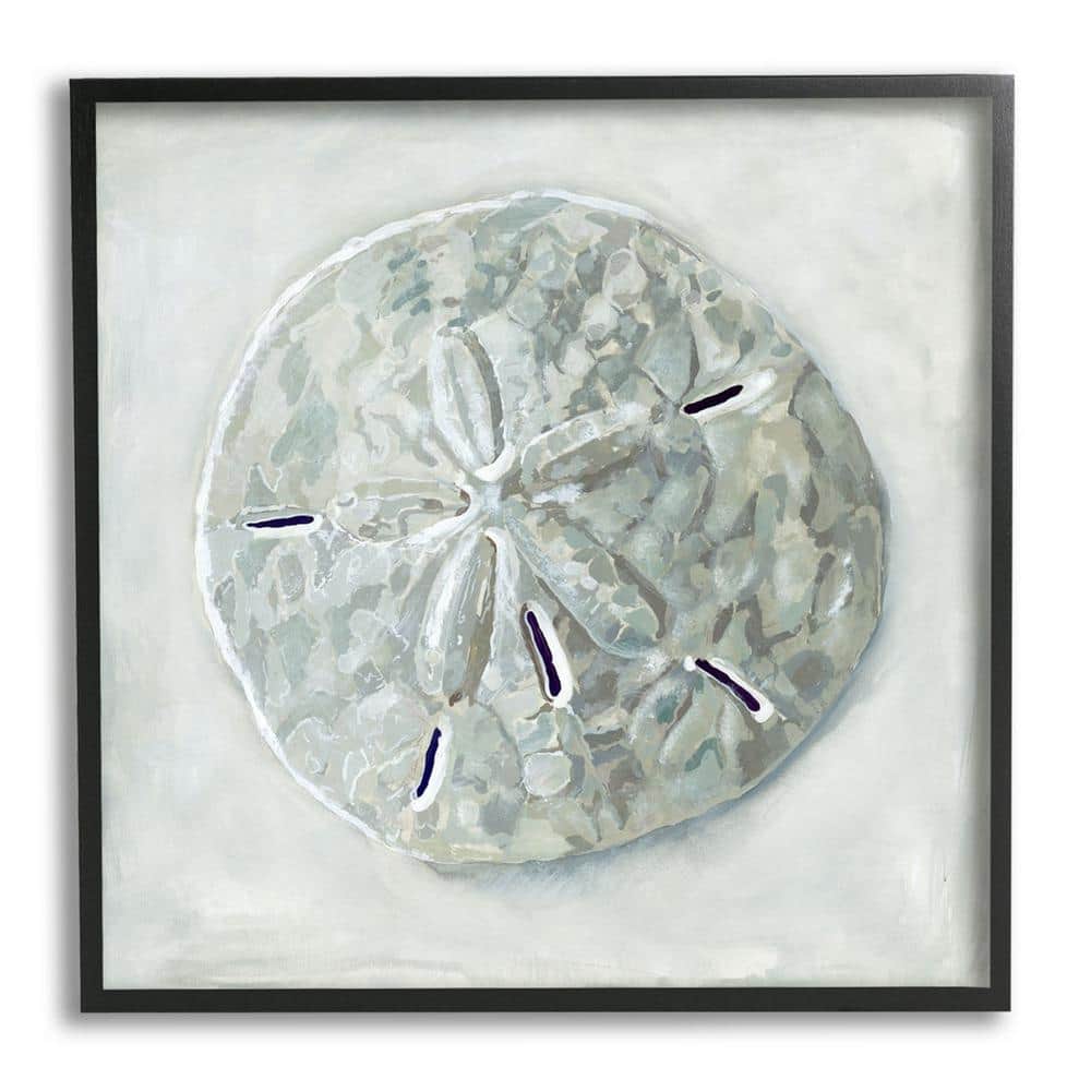The stupell home decor collection sand dollar seashell design by erica christopher framed nature art print in x in aq