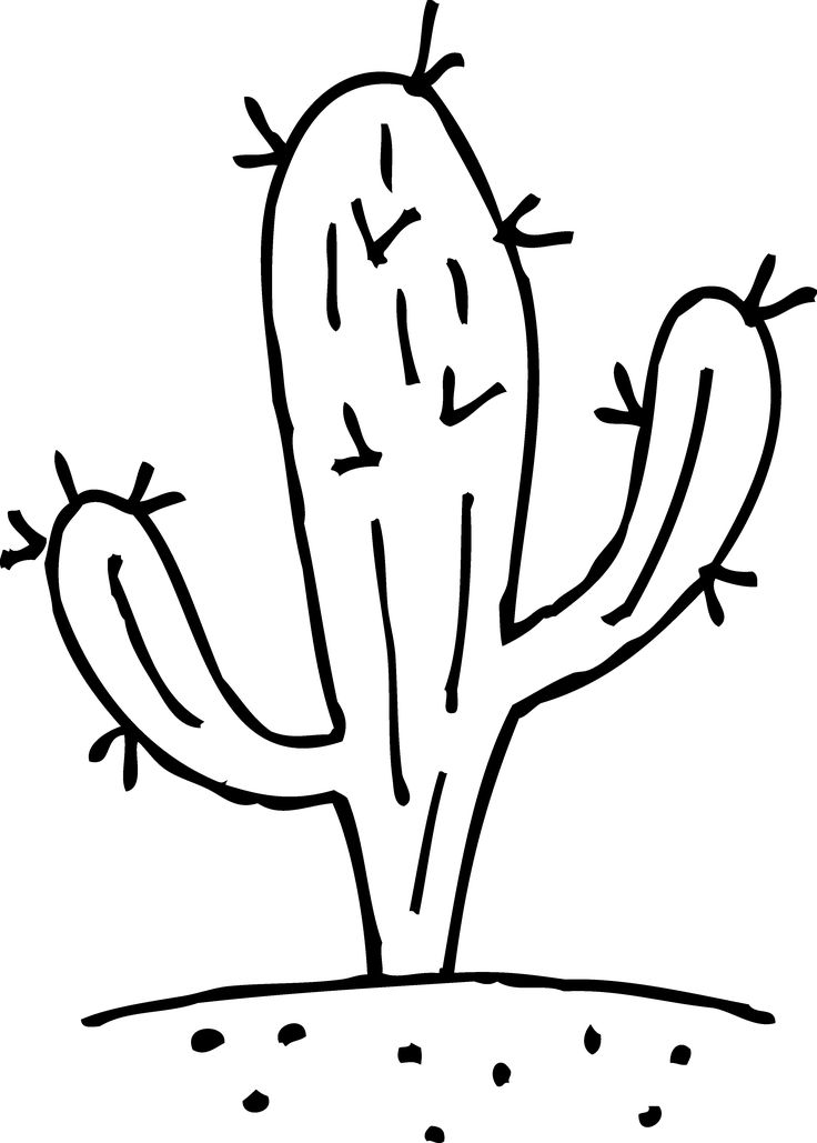 Cactus clipart to download coloring pages flower coloring pages pumpkin coloring pages