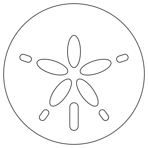 Sand dollar coloring page free printable coloring pages