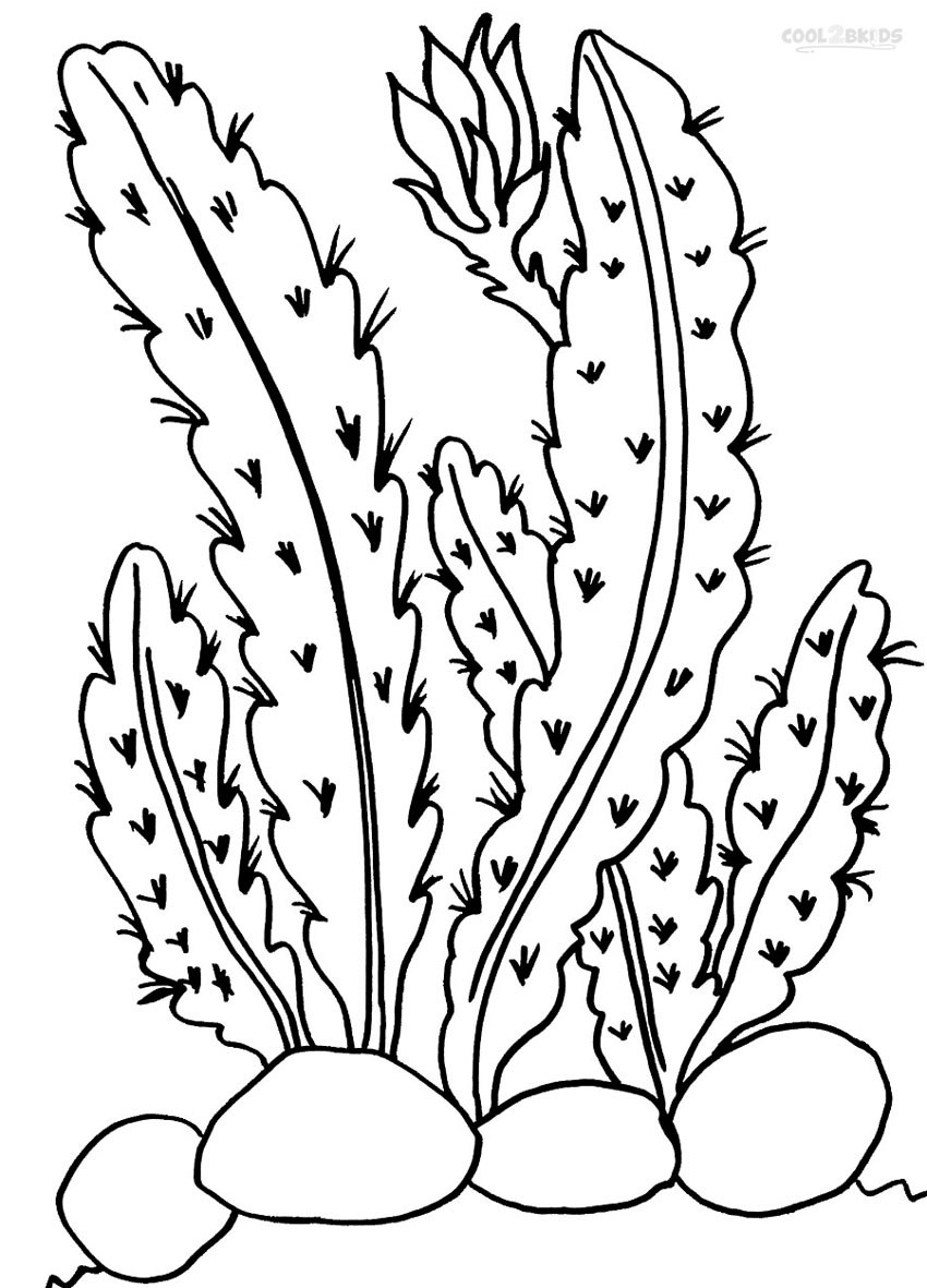 Printable cactus coloring pages for kids