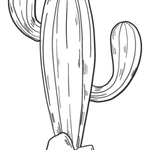 Cactus coloring pages printable for free download