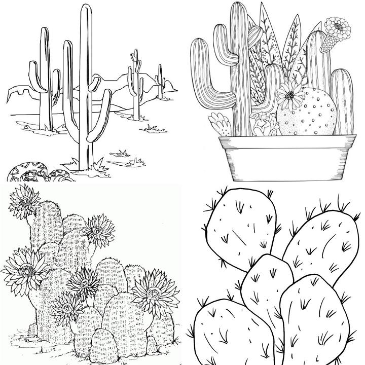 Free cactus coloring pages for kids and adults