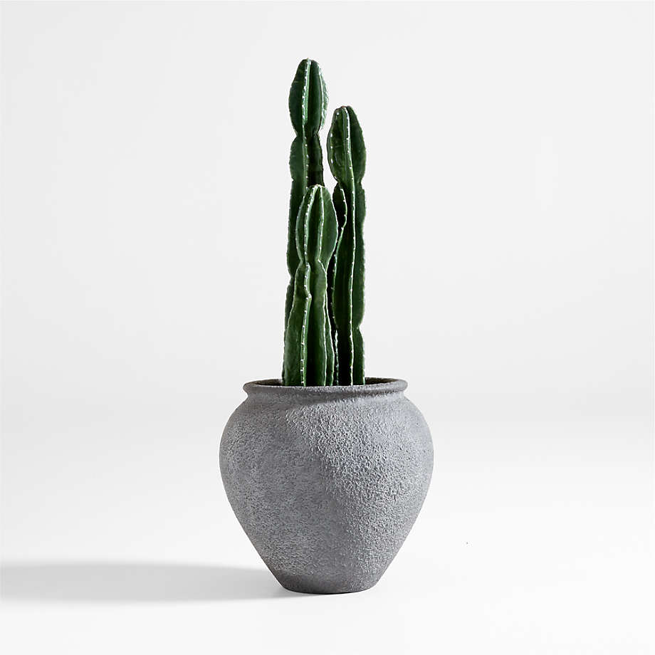Faux tall potted cactus plant reviews crate barrel