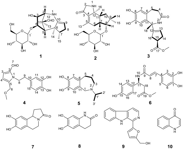 Alkaloids from scindapsus officinalis roxb schott and their biological activities