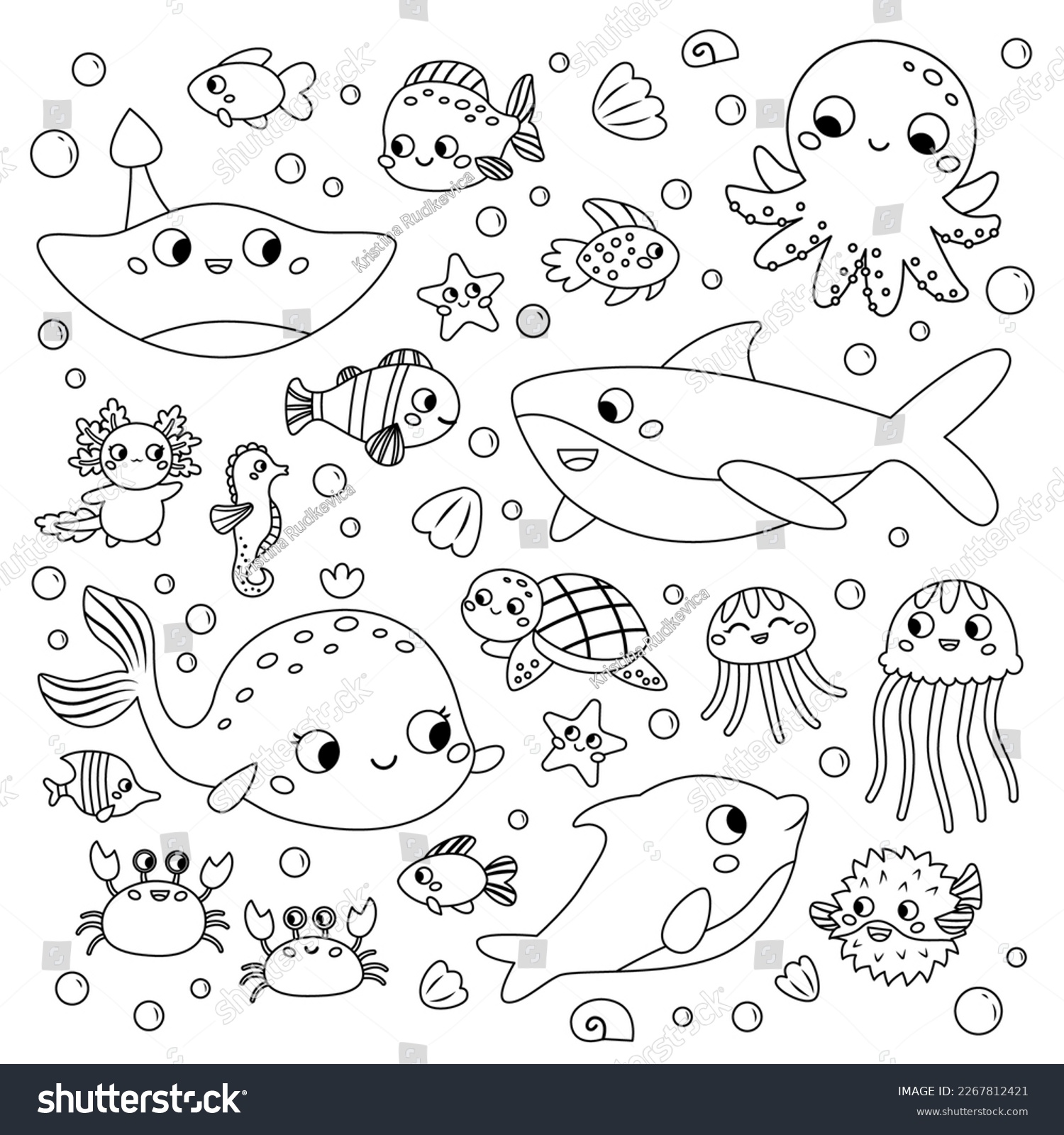 Sea animals outline images stock photos d objects vectors