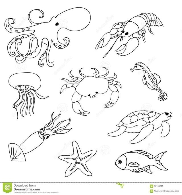 Underwater coloring pages underwater animals colouring pages sea marine coloring pdf unique