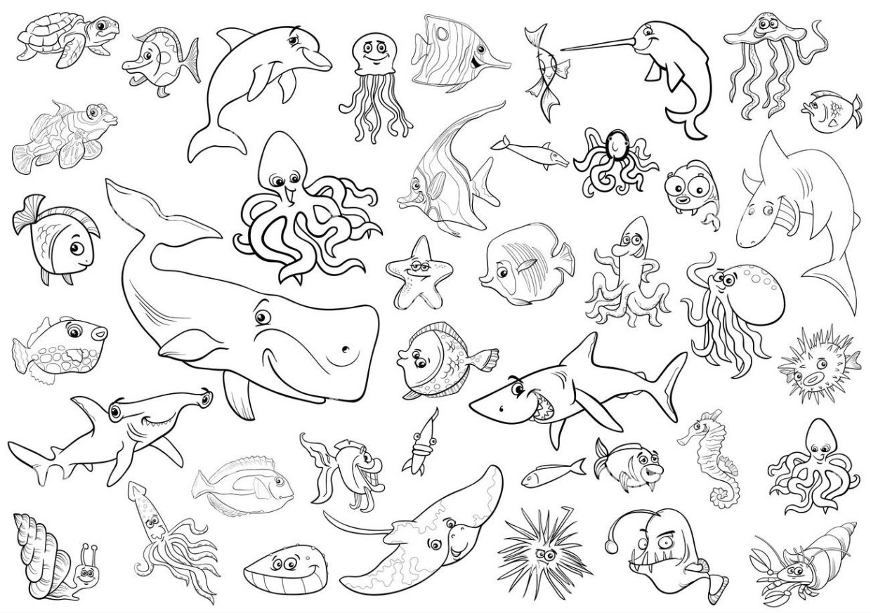 Free printable sea creatures coloring pages