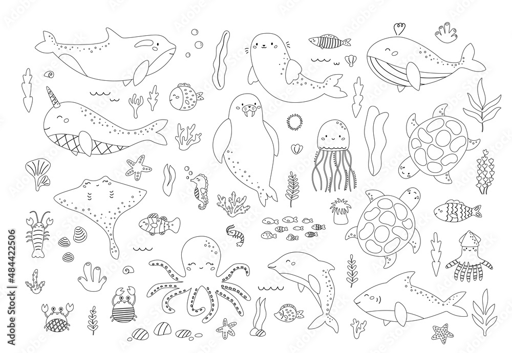 Vector set of sea animals and plants black and white outline underwater fishes seaweeds corals arctic animals coloring page or book for children vector