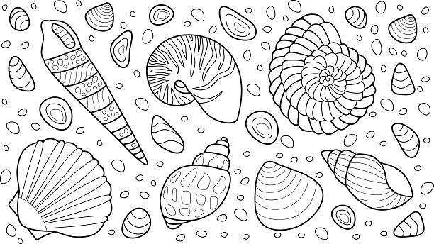 Sea animal coloring pages stock photos pictures royalty