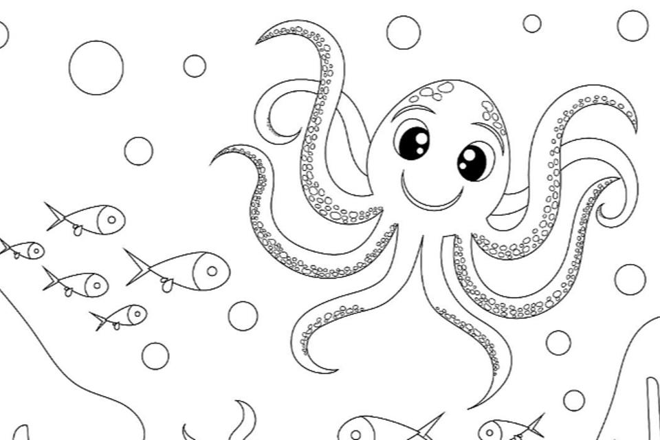 Sea creatures coloring pages fish dolphins sharks other marine life