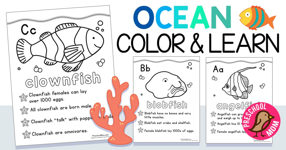 Ocean animal coloring pages