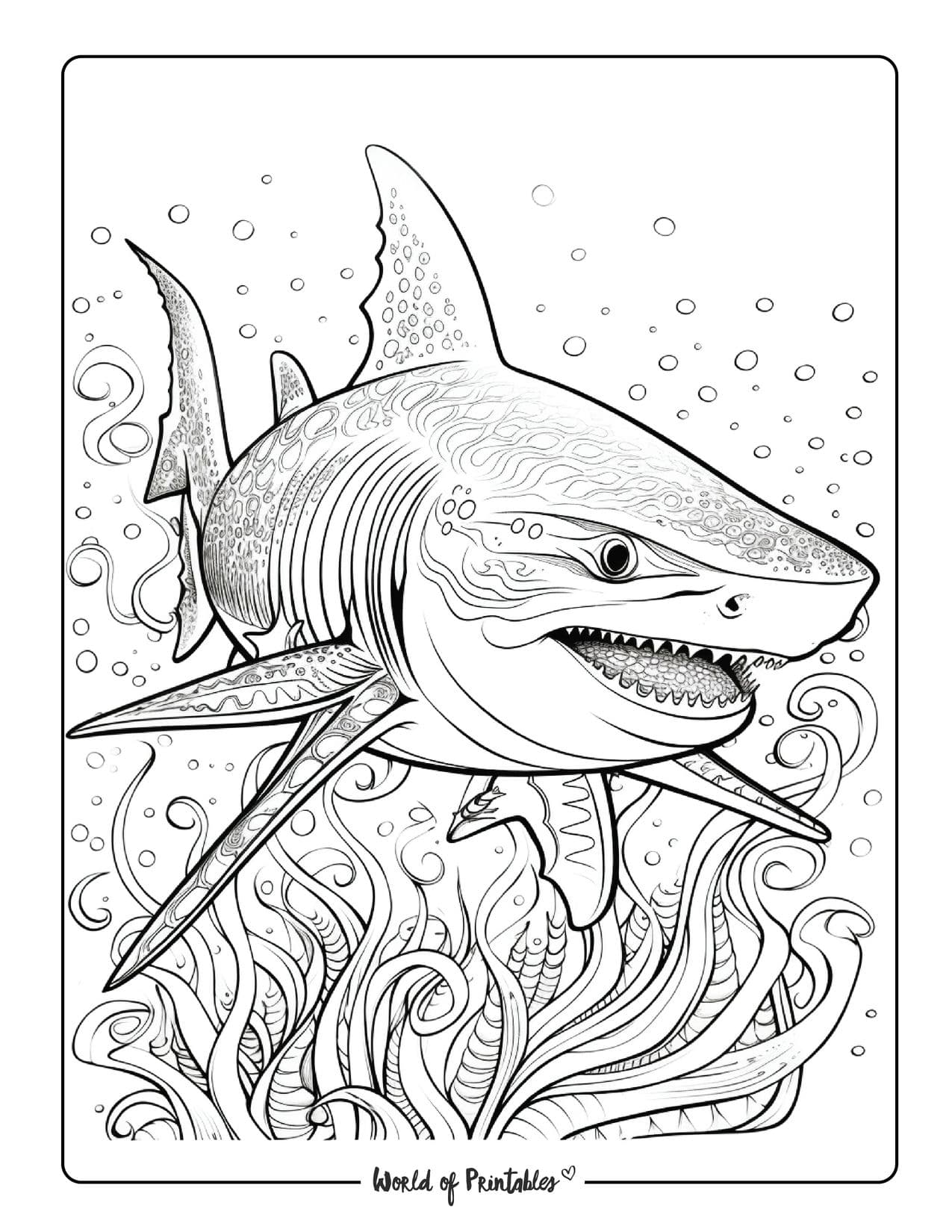 Sea animal coloring pages for kids adults