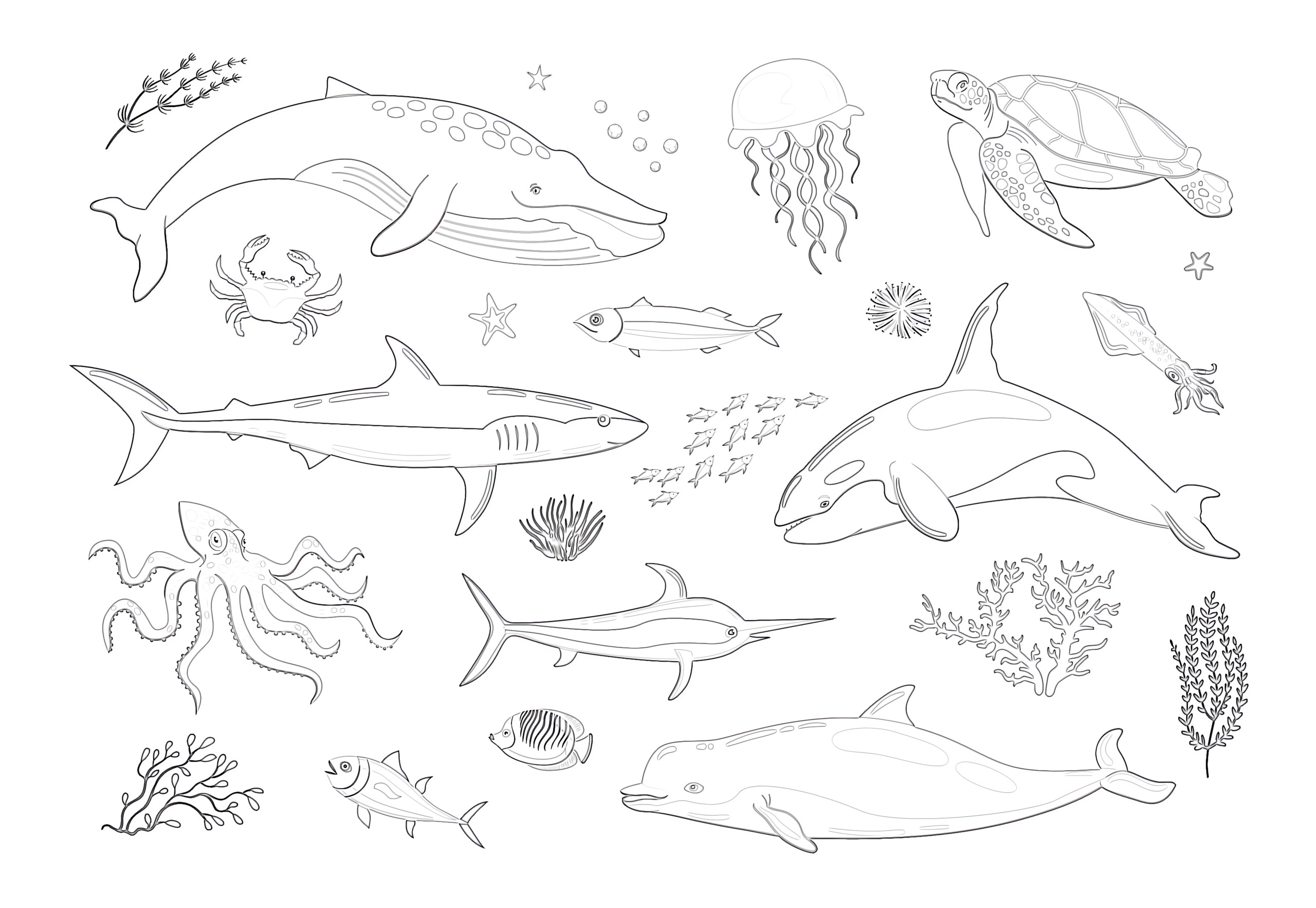 Printable various marine animals coloring page