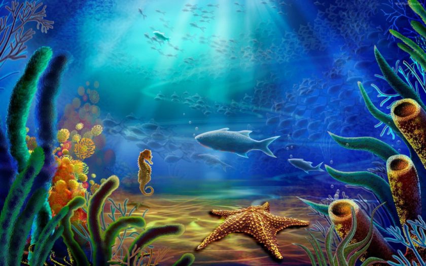 Life under the sea underwater world fish corals sea star sea horse hd wallpaper widescreen for smartphone x