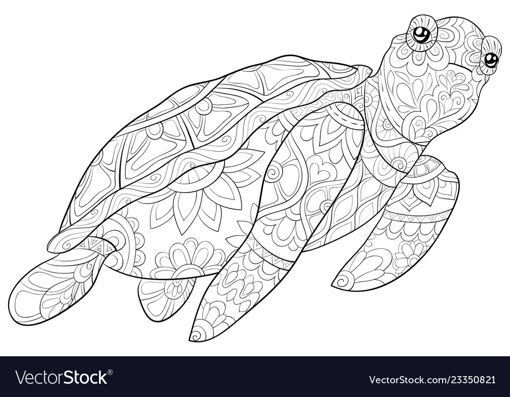 Adult coloring bookpage a cute turtle image vector image