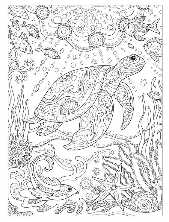 Coloring page turtle coloring pages detailed coloring pages mandala coloring pages