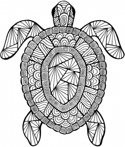 Detailed sea turtle advanced coloring page a to z teacher stuff printable pages and worksheets