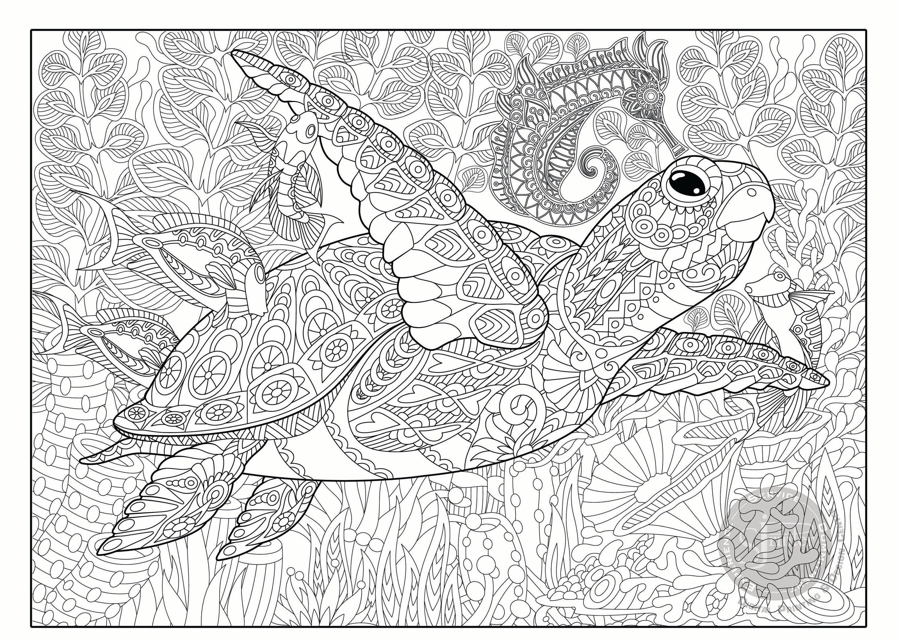 Buy superb sea turtle coloring posters from sjprinter store