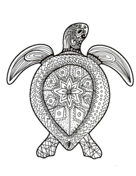 Sea turtle coloring page by davincis workshop tpt