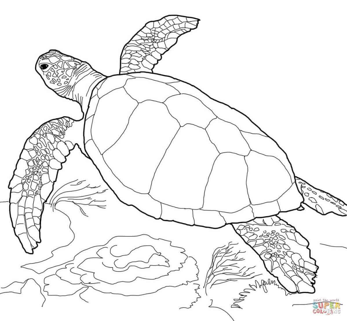 Loggerhead sea turtle coloring page free printable coloring pages