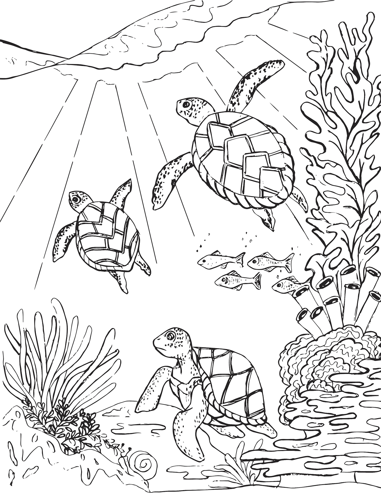 Three sea turtles coloring page â mermaid coloring pages
