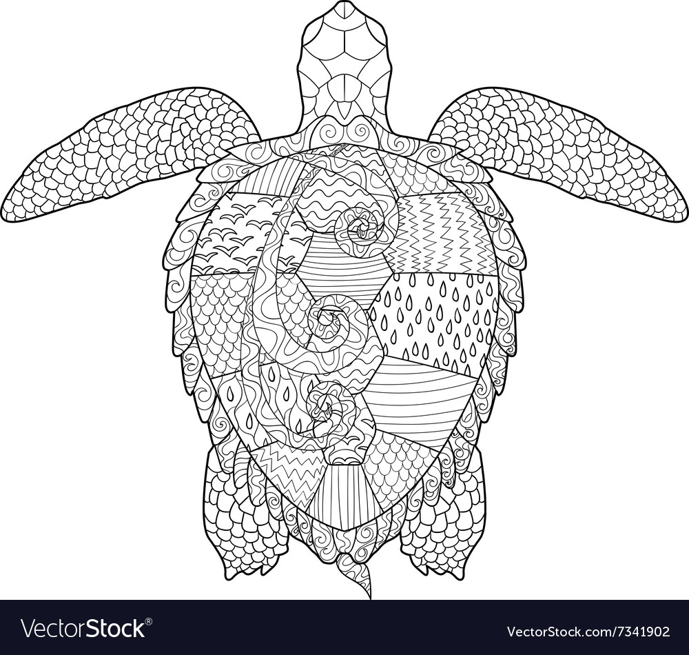 Adult antistress coloring page with turtle vector image