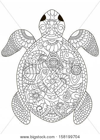 Sea turtle coloring vector photo free trial bigstock