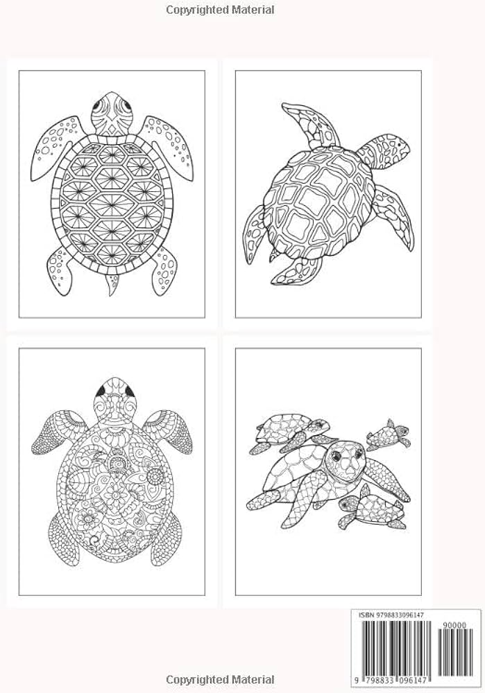 Turtle coloring book for adults amazing large print turtle coloring book for adult easy coloring page house salma books books