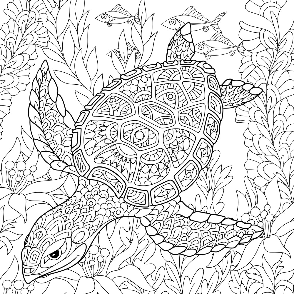 Sea turtle coloring page decal â