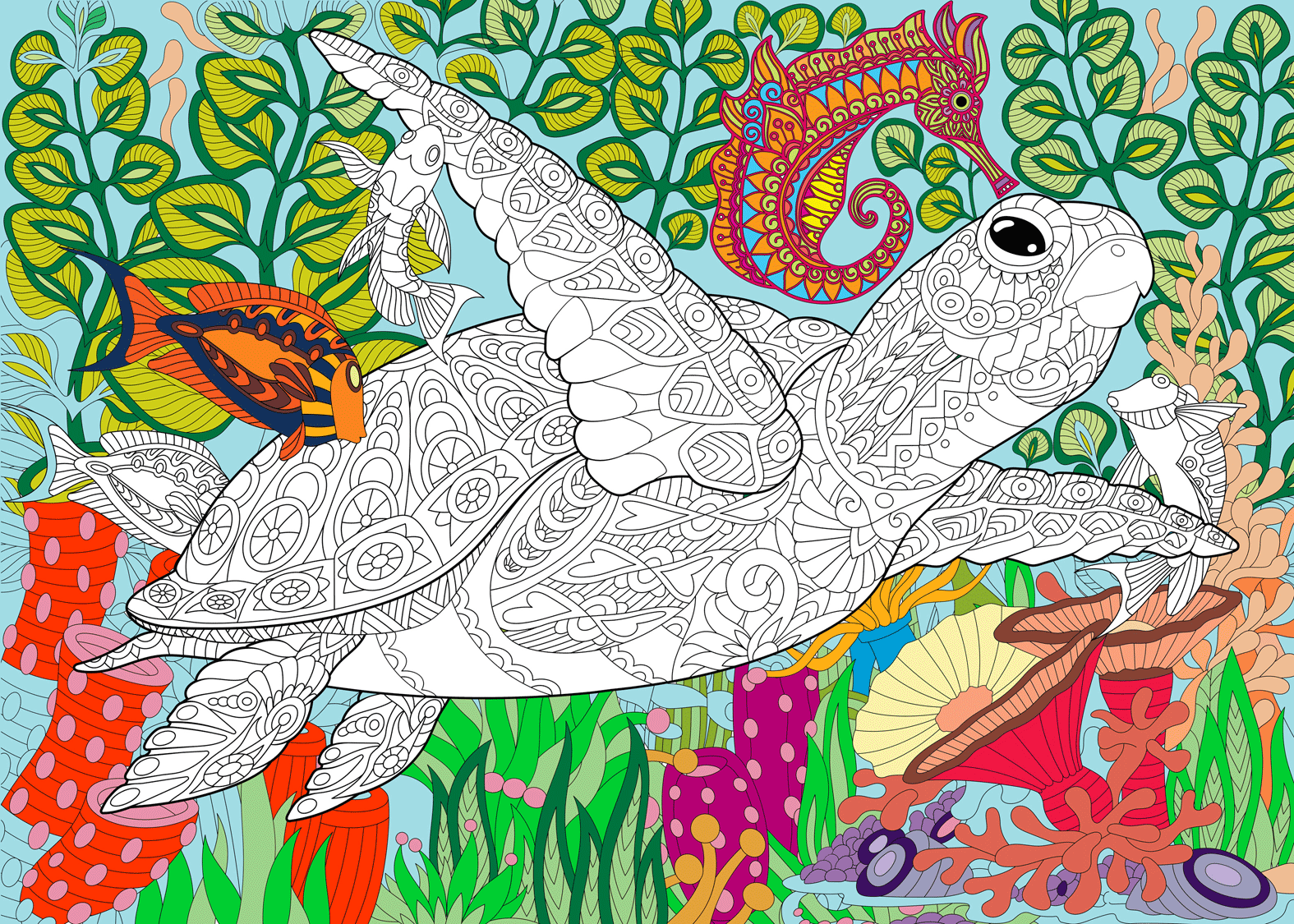 Buy superb sea turtle coloring posters from sjprinter store
